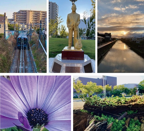 展示される作品の一部