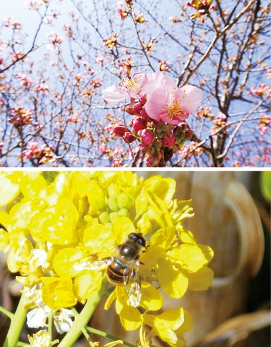 展示中の作品の一部＝提供