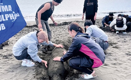 ビーチクリーンとサンドアートのコラボイベント＝提供