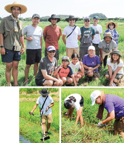 （上）田んぼプロジェクトのメンバーら（下）草刈りをする篠田さんと参加者