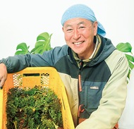 人参の葉っぱで染め物体験