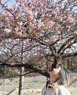 東日本大震災１５年、陸前高田の今