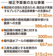 商品券発行を支援へ
