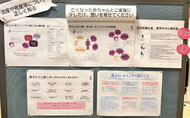 ｢いのち｣見つめるパネル展