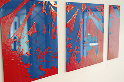 身近な自然集めた個展