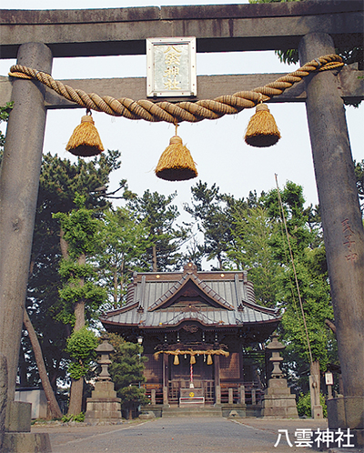 茅ヶ崎の轍（わだち）