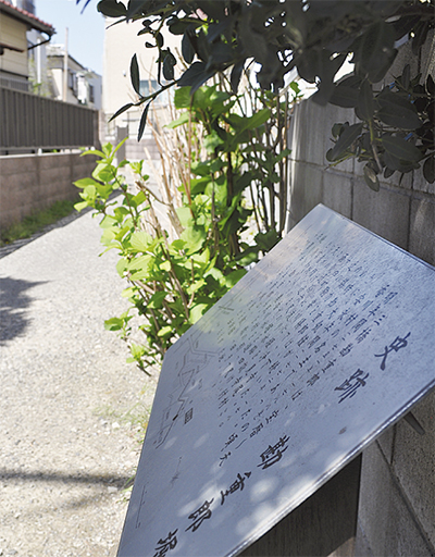 茅ヶ崎の轍（わだち）