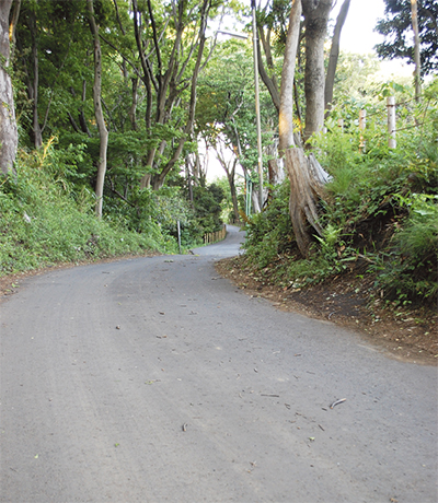 茅ヶ崎の轍（わだち）
