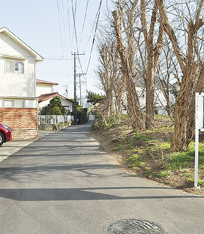 茅ヶ崎の轍（わだち）