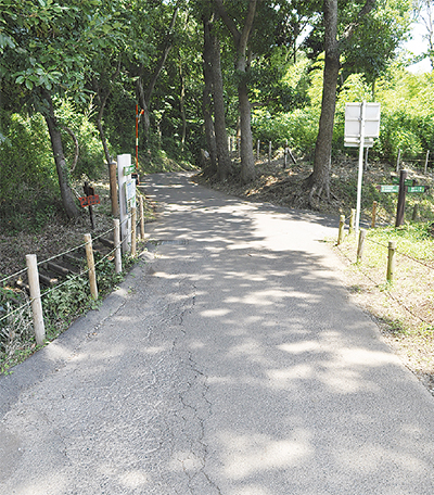 茅ヶ崎の轍（わだち）