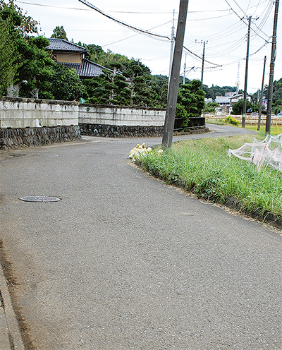 茅ヶ崎の轍（わだち）