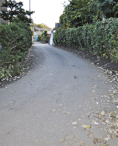 茅ヶ崎の轍（わだち）