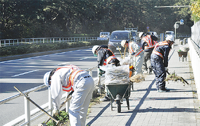 箱根路歩道を清掃