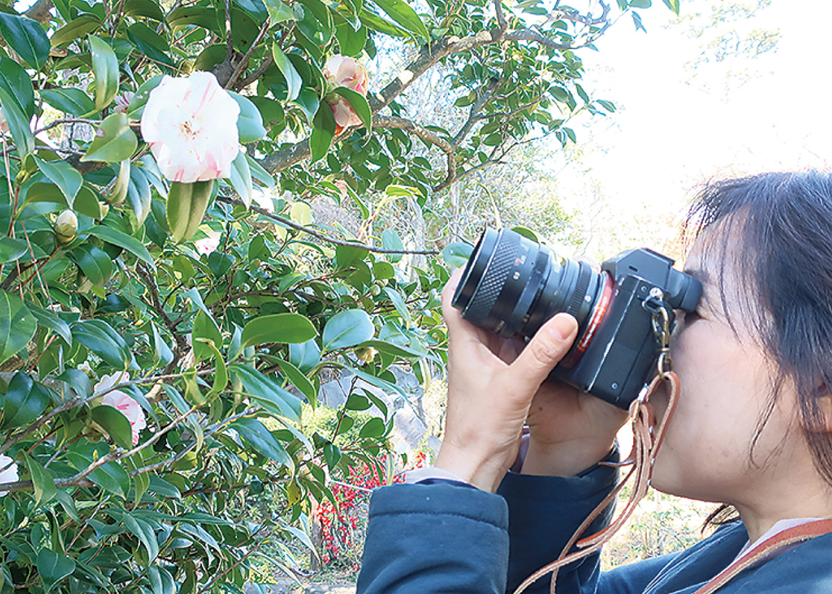 写真撮影に訪れる人も