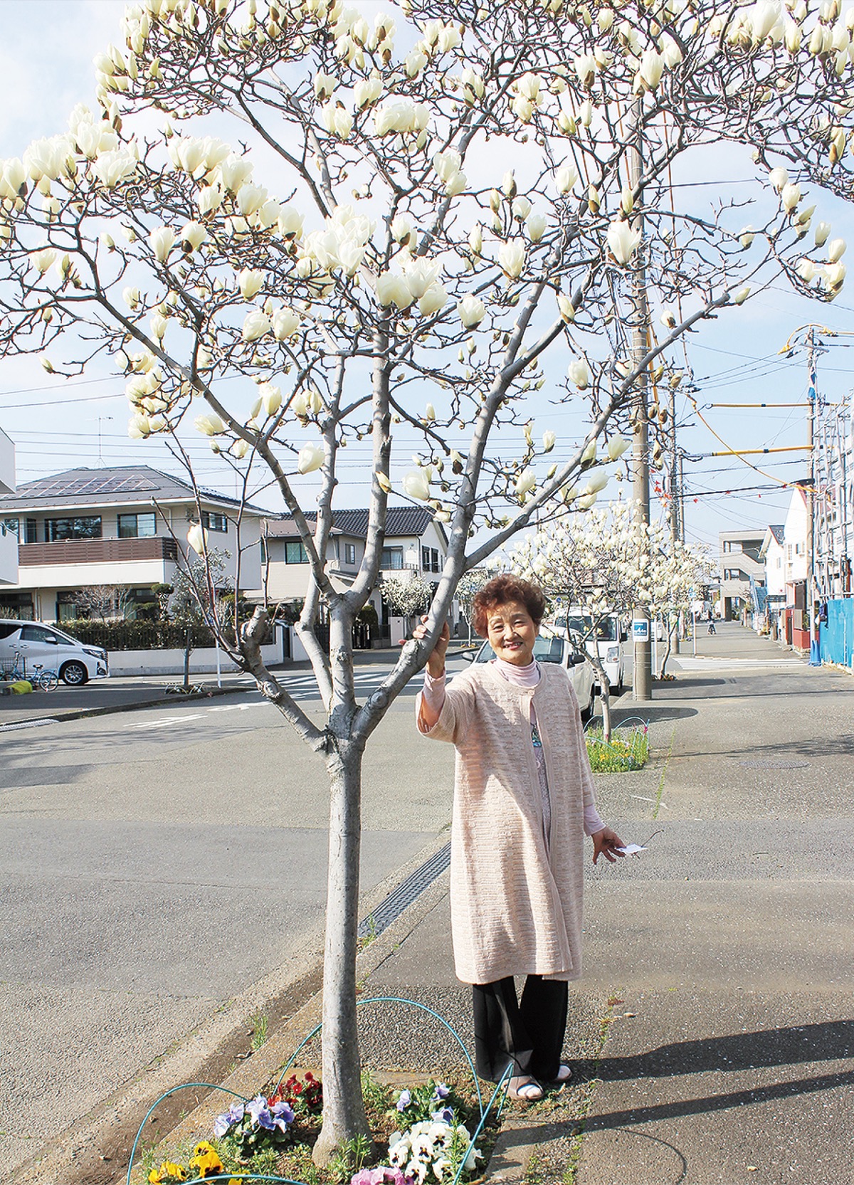 地域の目を楽しませ20年