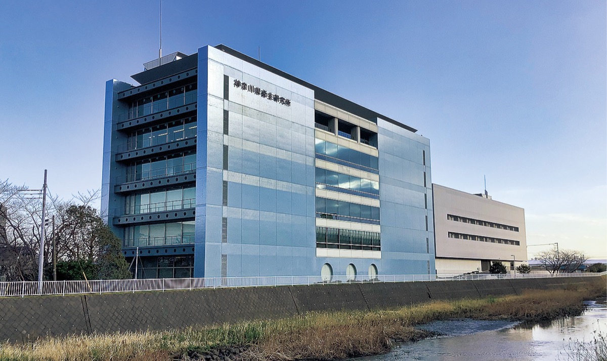 コロナ迅速検出法