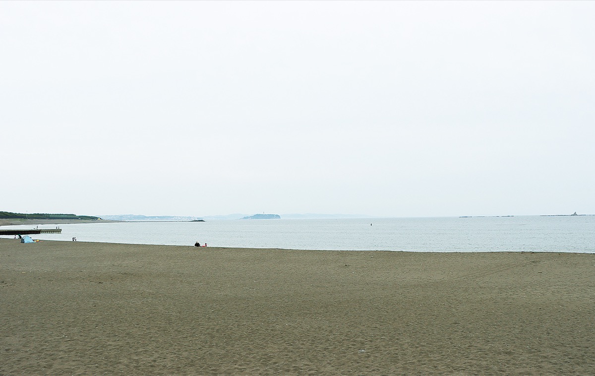 どうなる今夏の海