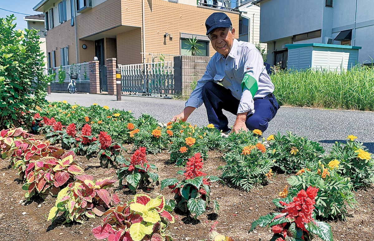 サルビアやケイトウなど７５０株を植栽