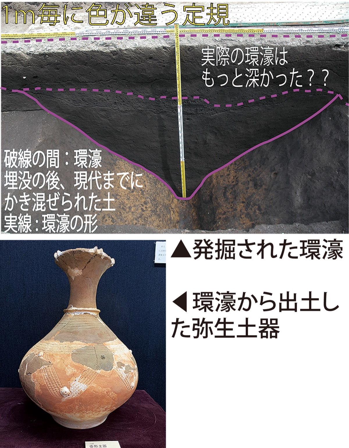 おうちでミュージアム