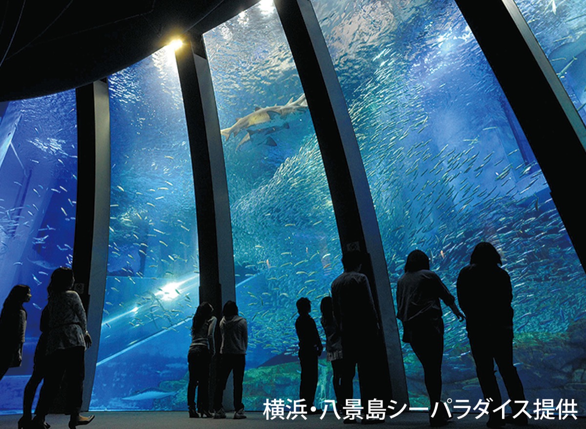 来年2月、シーパラ貸し切り