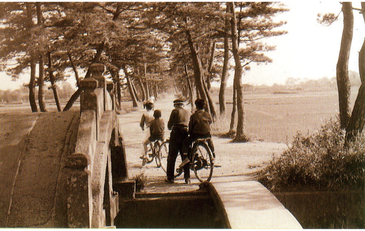 おうちでミュージアム