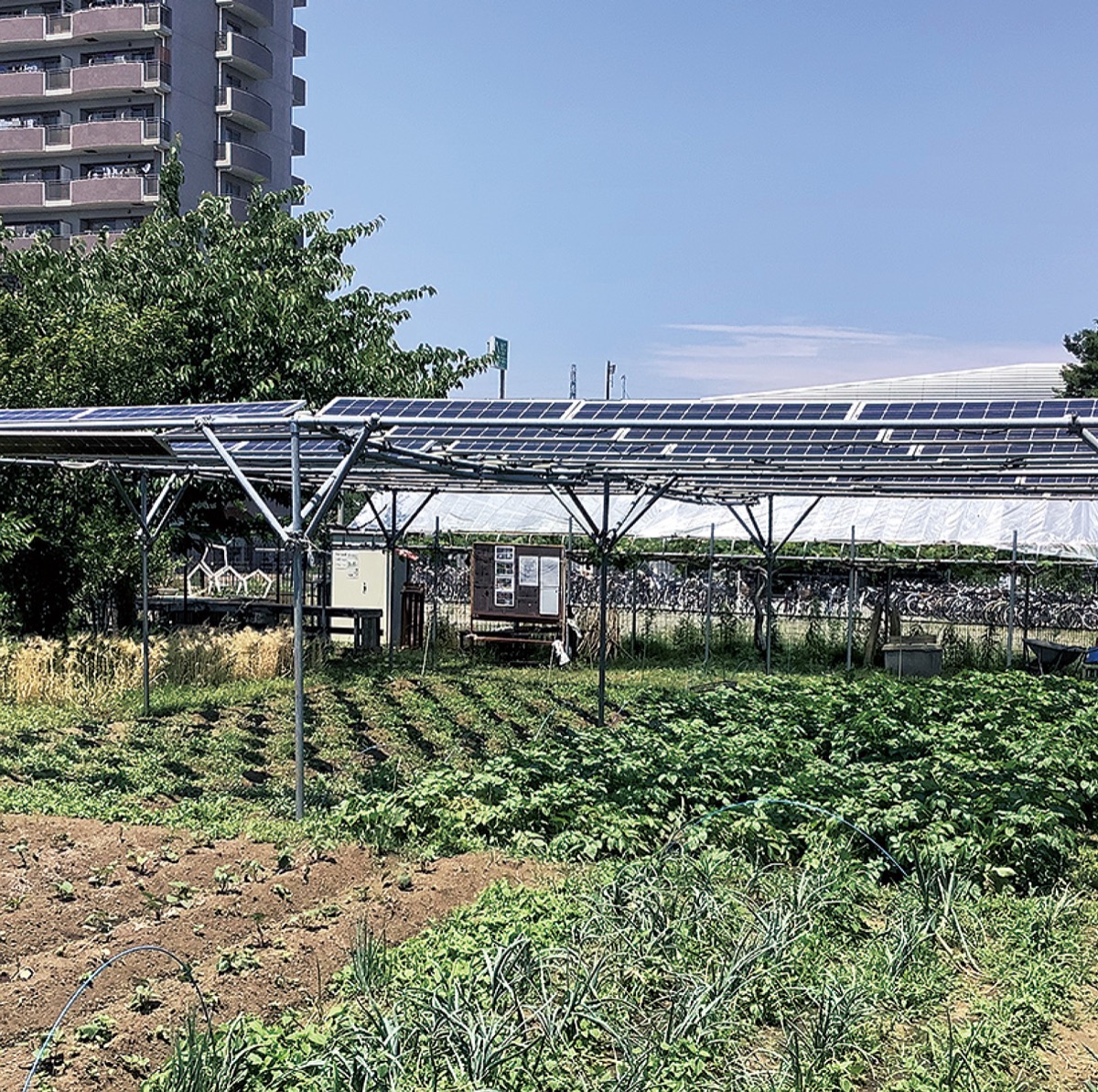 仮称 西久保新駅用地 荒廃地が 自給自足公園 に 駅と緑と絆の会 茅ヶ崎市 茅ヶ崎 タウンニュース