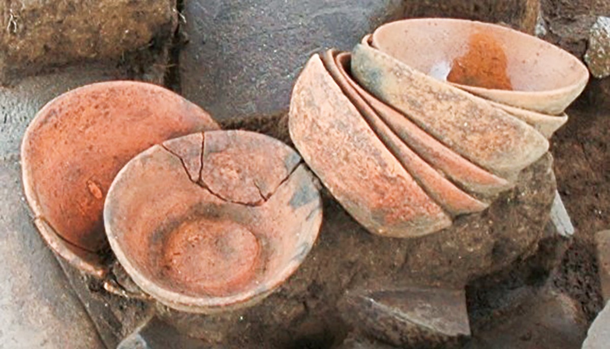 おうちでミュージアム