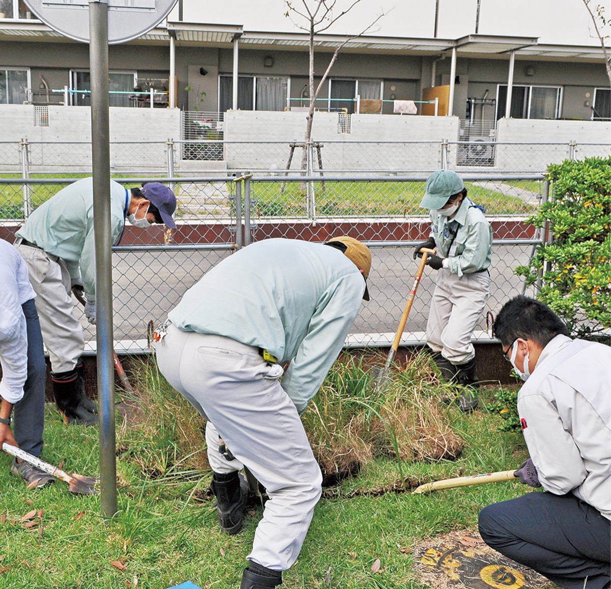 しろやま公園北側に移植された