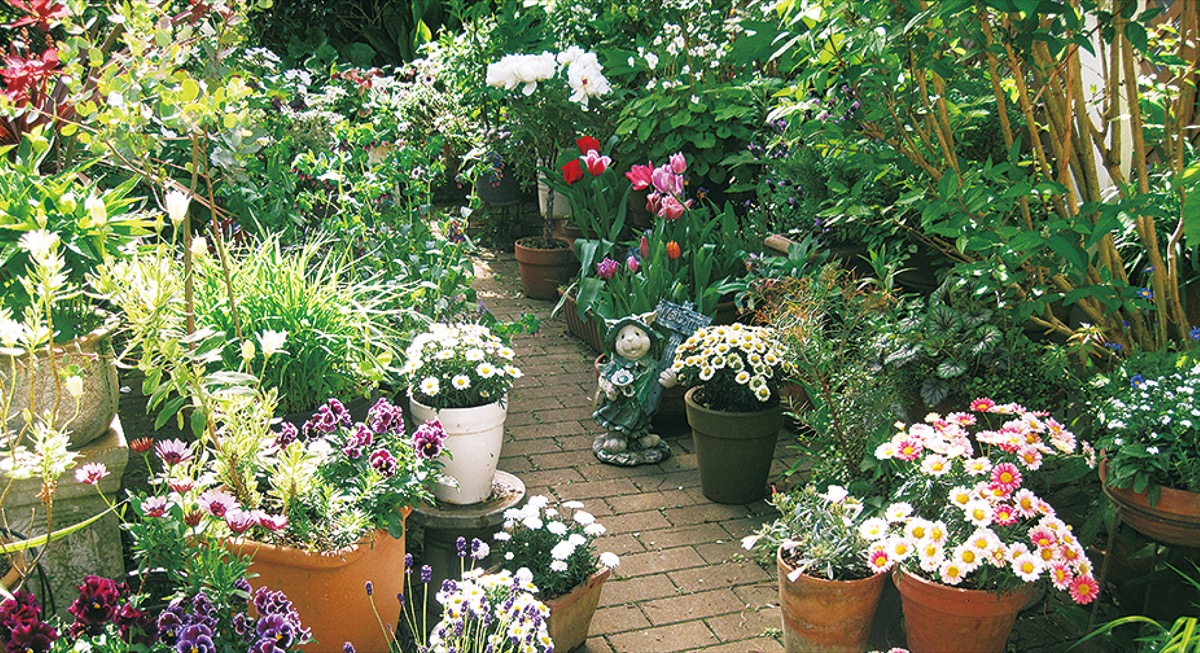 自宅庭や花壇を公開 大磯オープンガーデン | 茅ヶ崎・寒川 | タウン