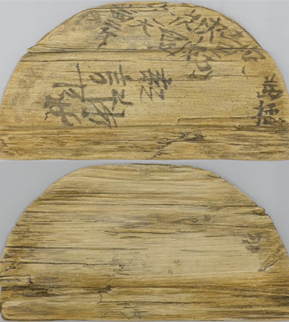 学芸員のイチ推し！