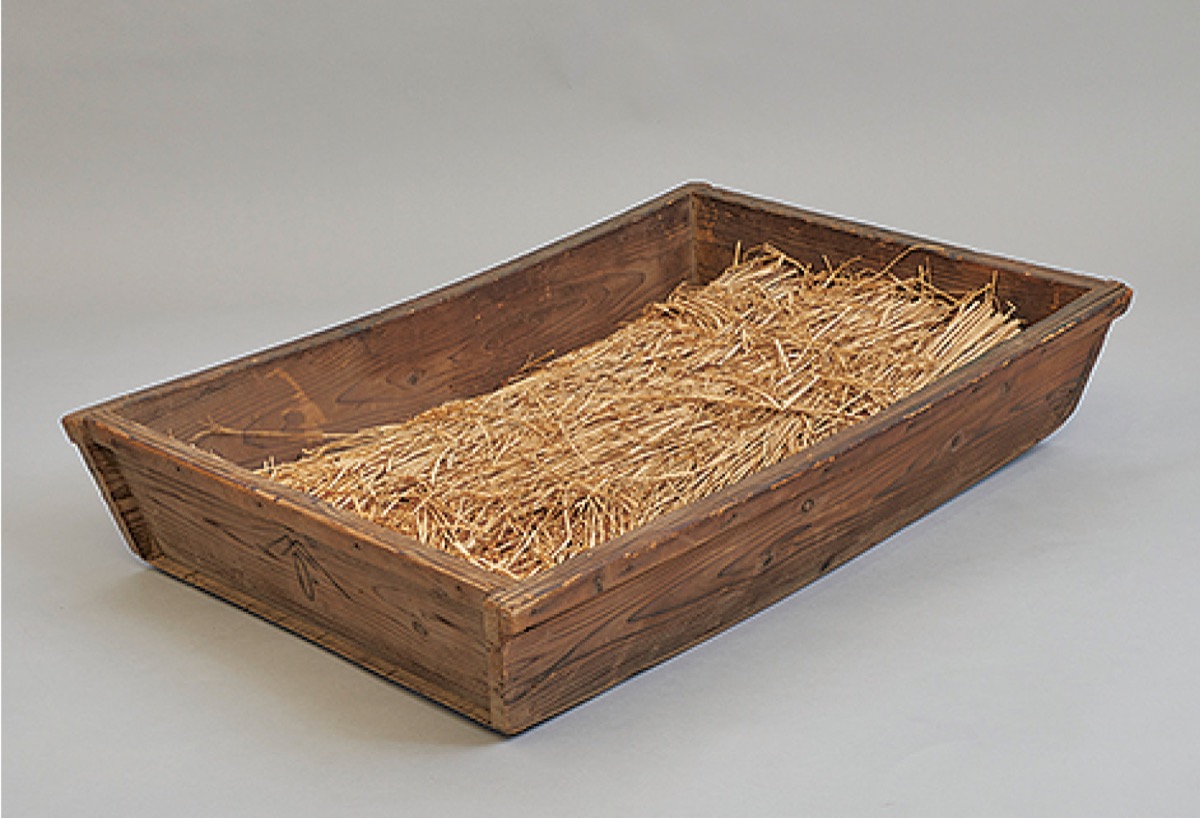 学芸員のイチ推し！