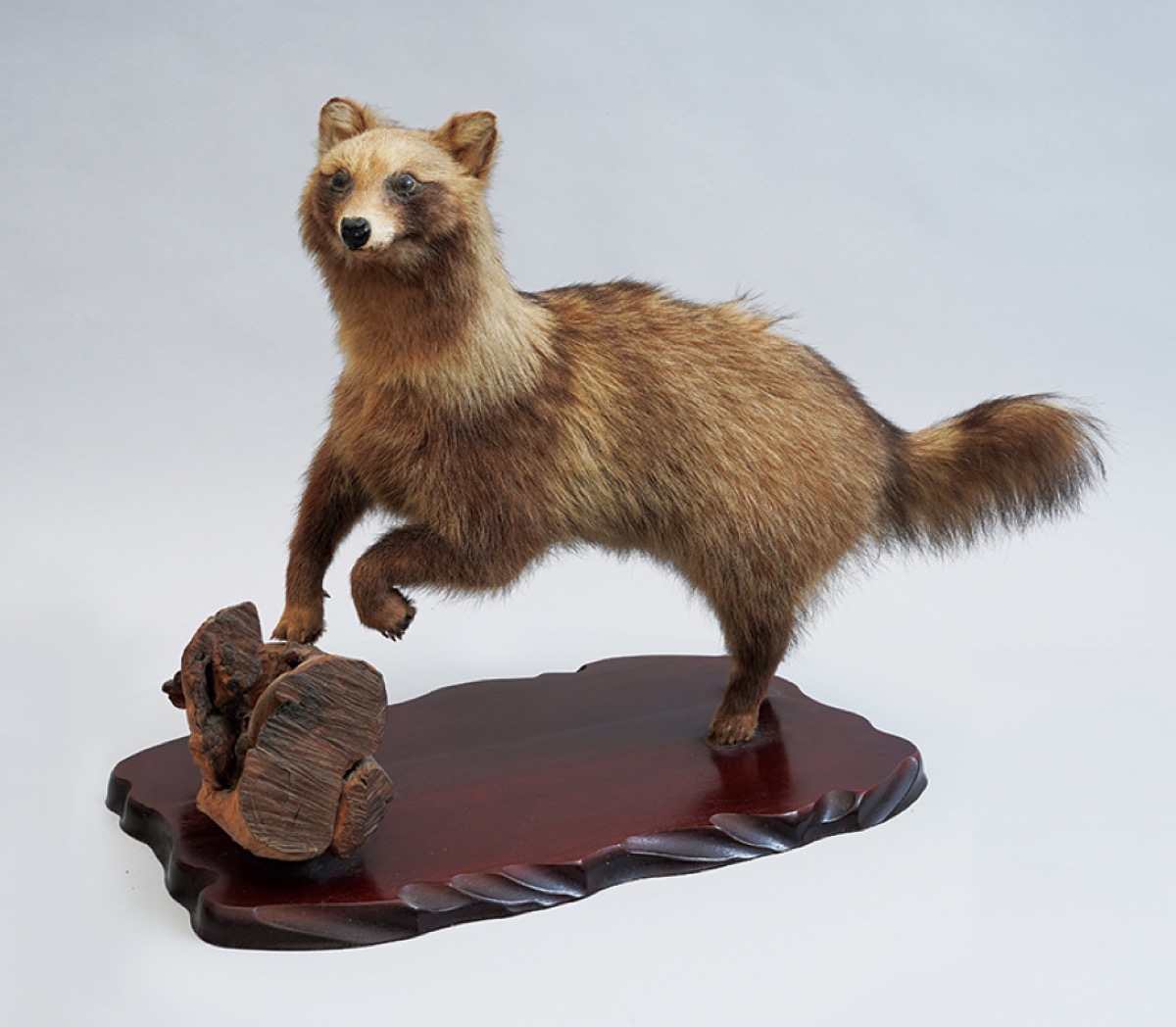 学芸員のイチ推し！