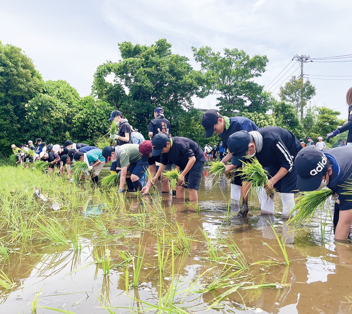 全児童で米づくりに奮闘
