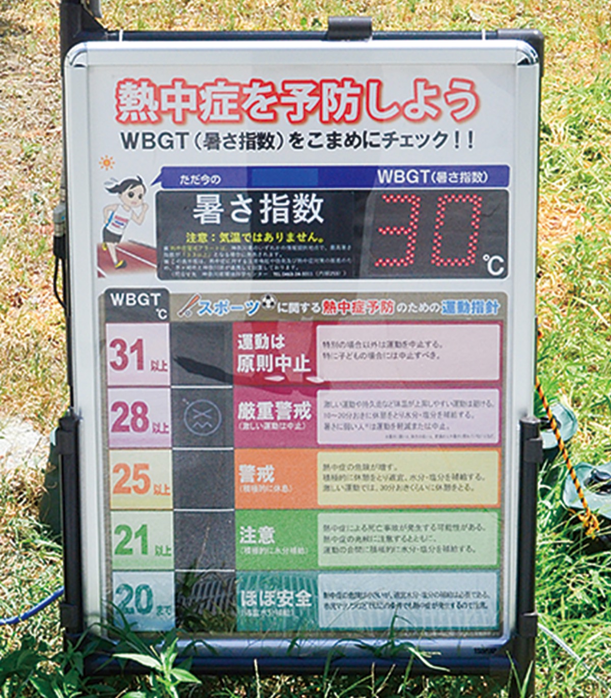 熱中症対策 あの手この手