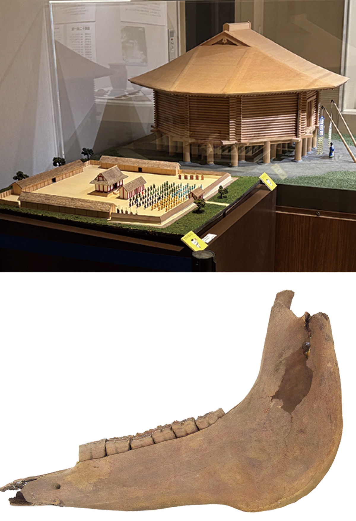 古代高座の実像に迫る