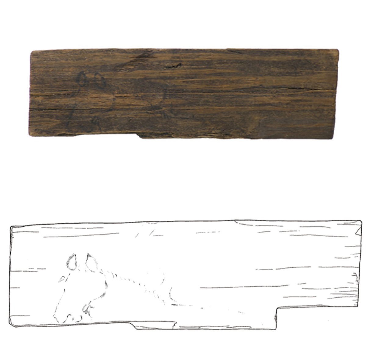 学芸員のイチ推し！