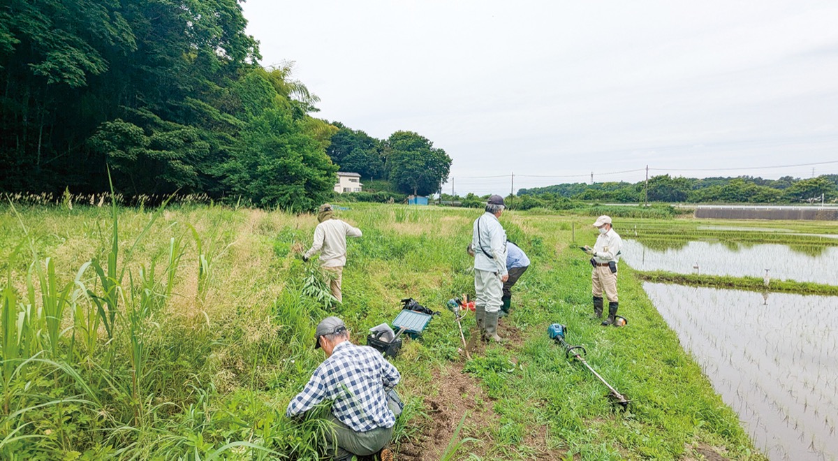 自然共生サイトに認定