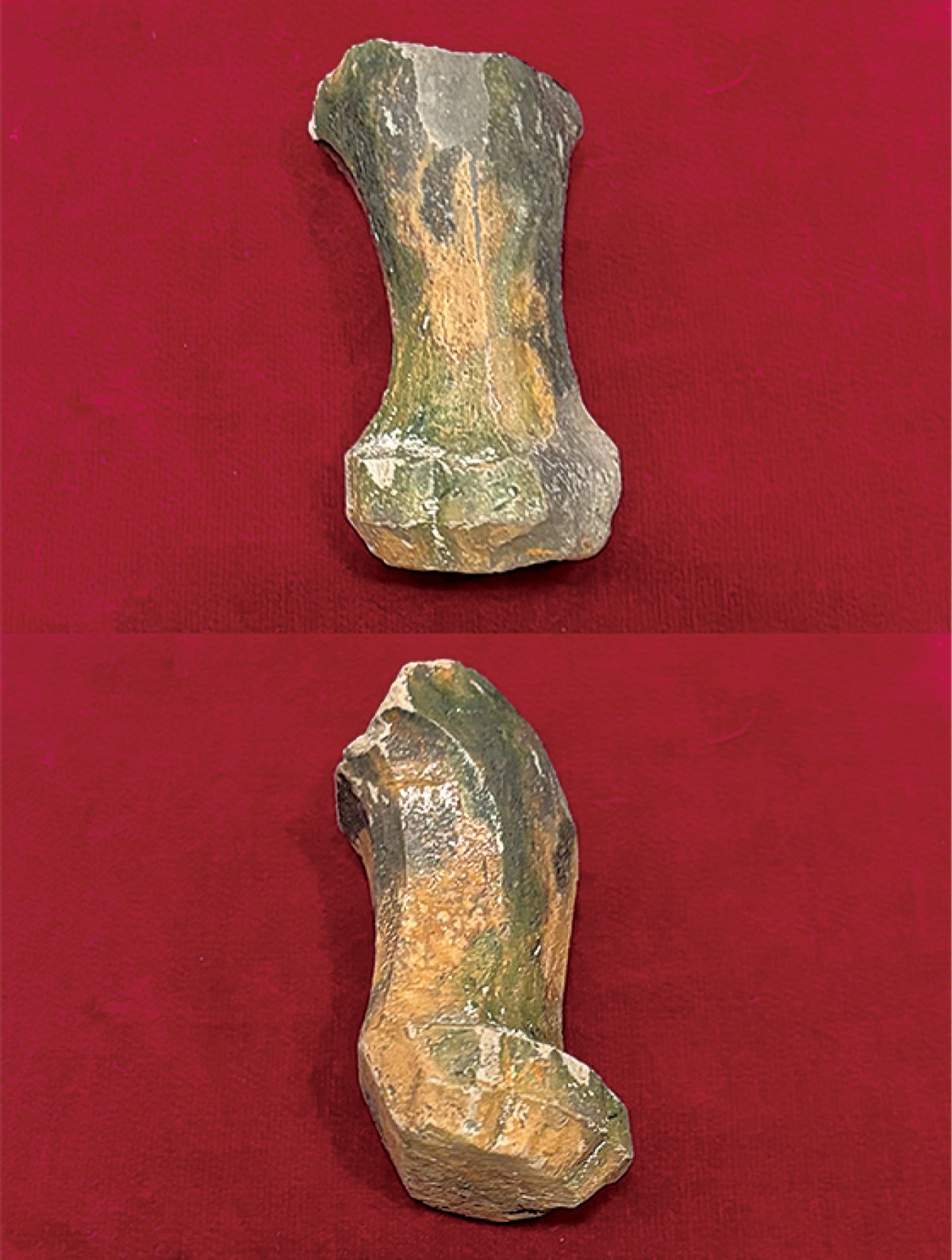 学芸員のイチ推し！