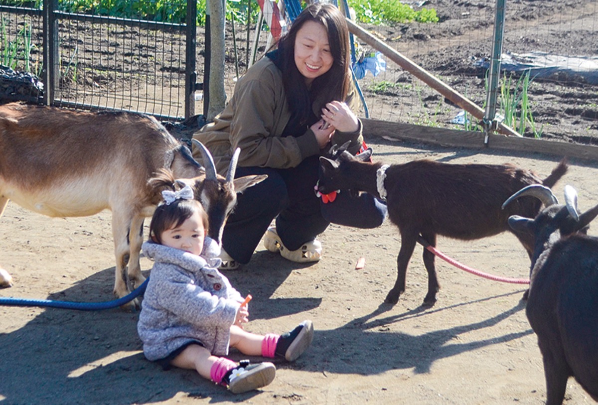 「どうぶつかわいいね」