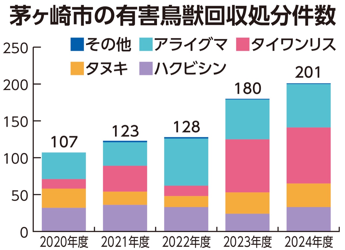 鳥獣回収が増加傾向