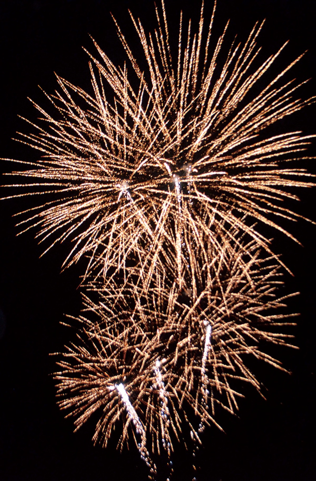中止の花火 寒夜彩る