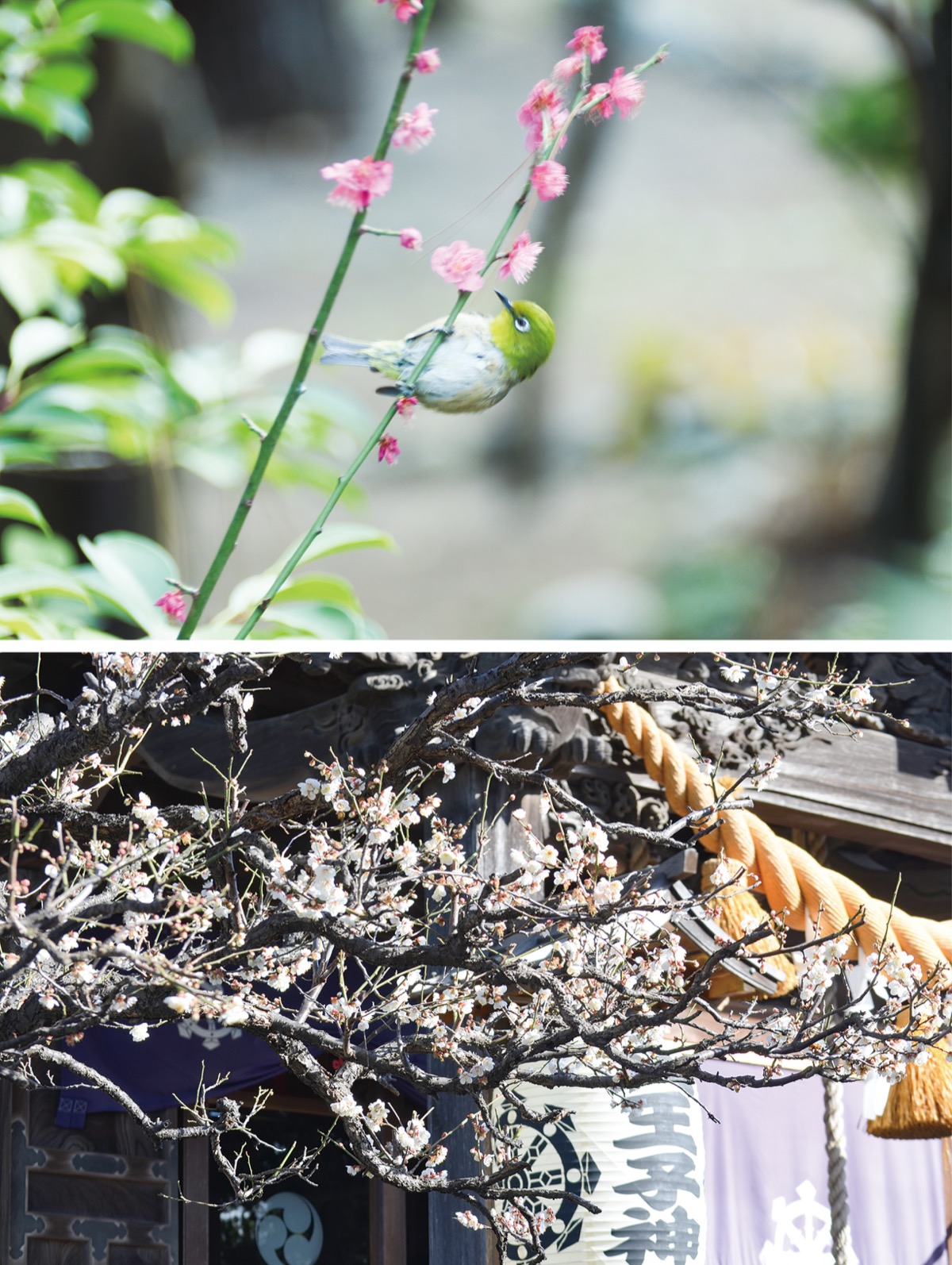 春の足音そこまで