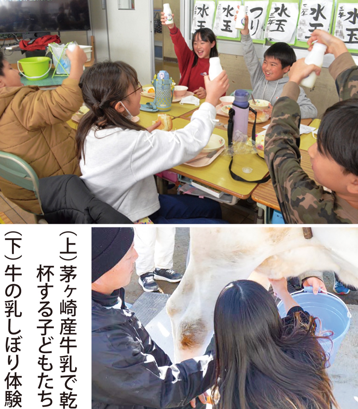 今宿小で畜産体験