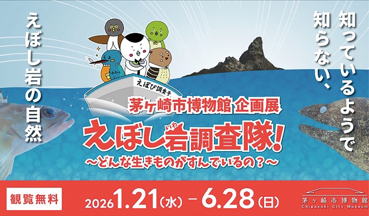 学芸員のイチ推し！ (写真2)