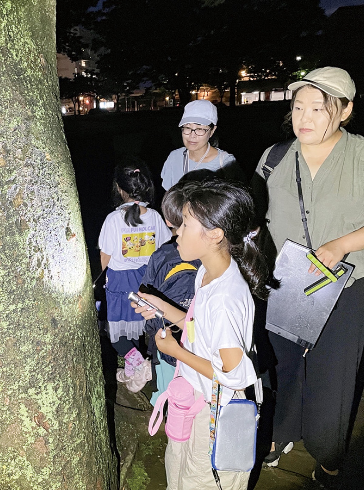 セミの羽化観察会 (写真2)