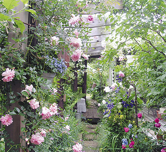 バラが咲く内海さんの庭園（写真は以前のもの）