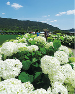 車で西へ30分の田園地帯