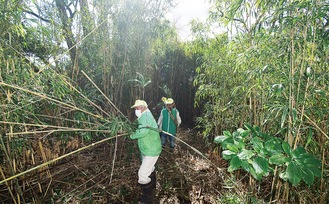 埋もれた旧目久尻に光を