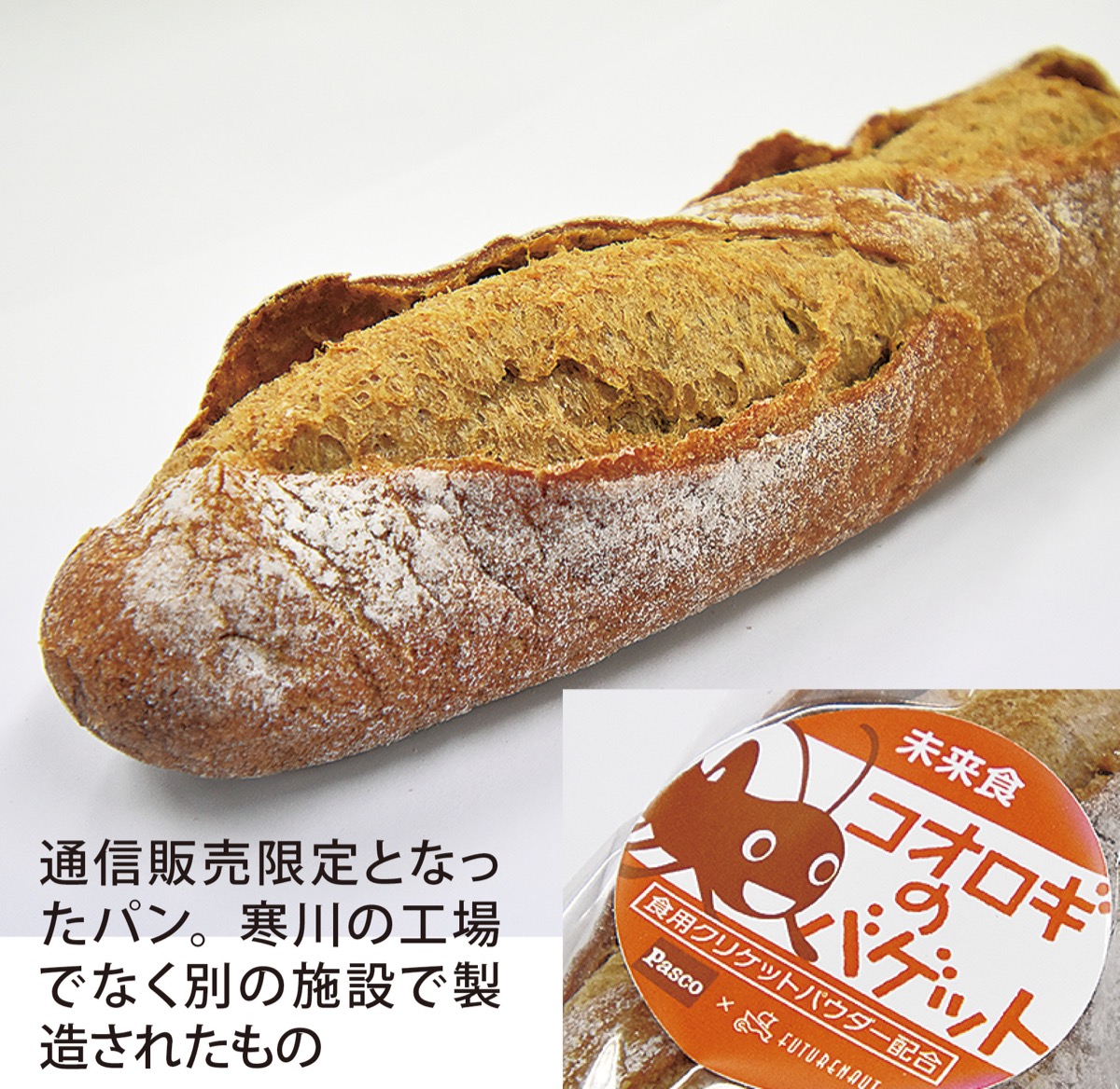 記者が味見 コオロギのパン 寒川 タウンニュース