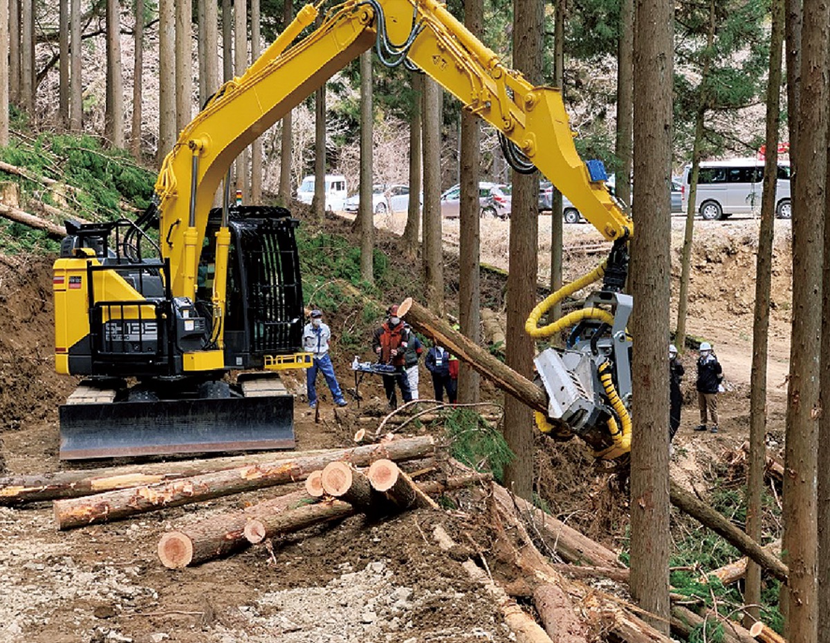 寒川生まれＳＡＭ林業を変えるかも